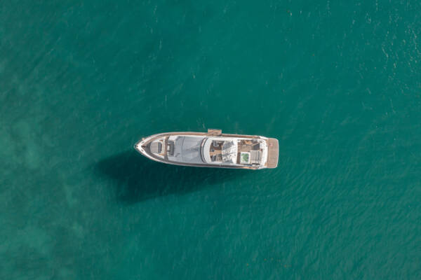 Princess Freedom 88’ - Image 84