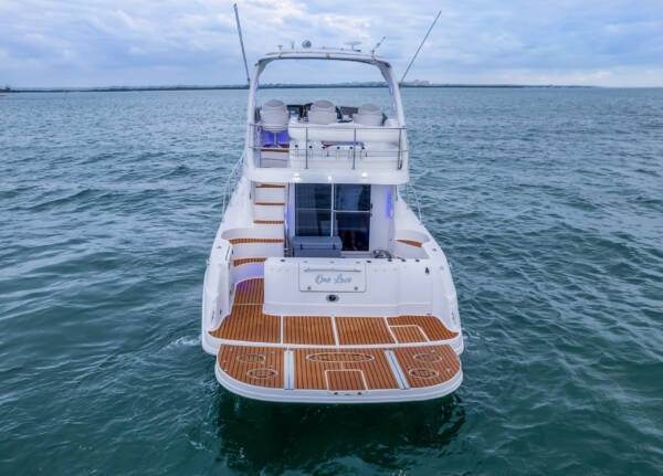 Sea Ray 48' - Image 6