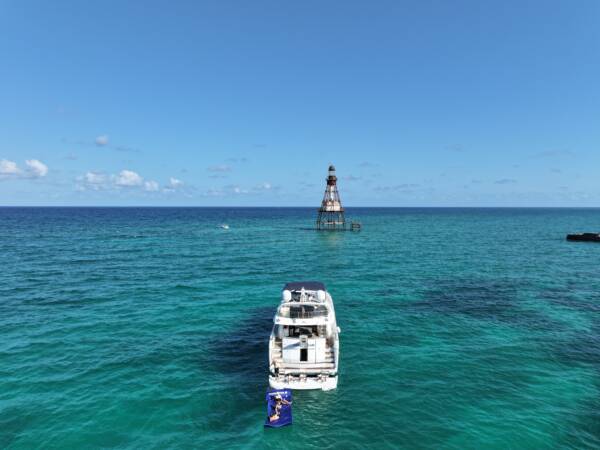 Deep Blue 90’ - Image 12