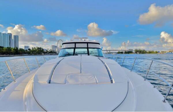 Sea Ray 55' - Image 6