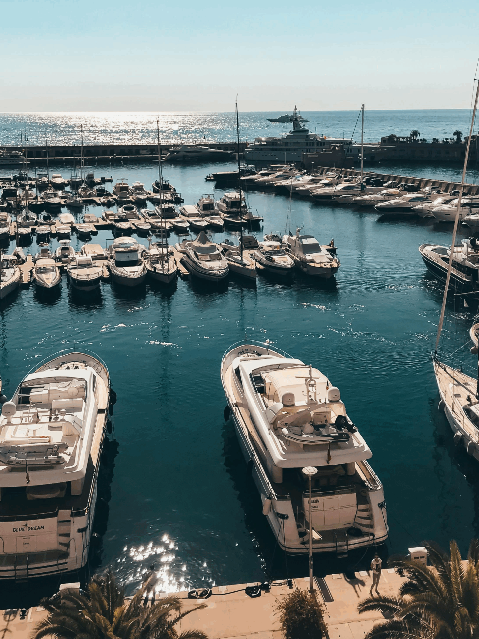 yatch brand yatch brand